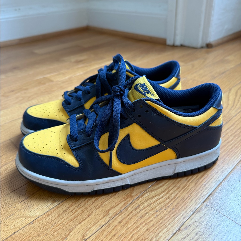 Rare Nike Michigan Dunks